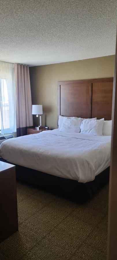 לקסינגטון Comfort Inn מראה חיצוני תמונה